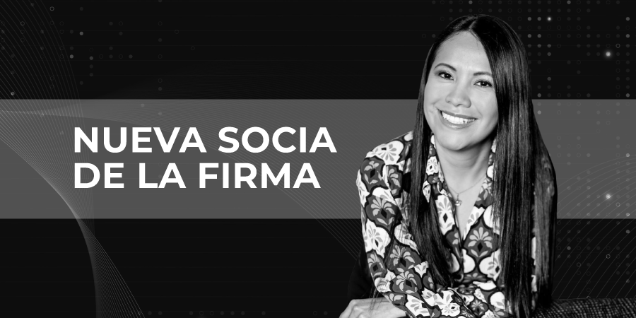 Nombramiento-Vodanovic-Karina-Chinguel